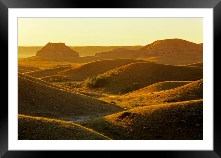 morning light  over the Big Muddy Badlands Framed Mounted Print by Dave Reede