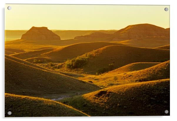 morning light  over the Big Muddy Badlands Acrylic by Dave Reede