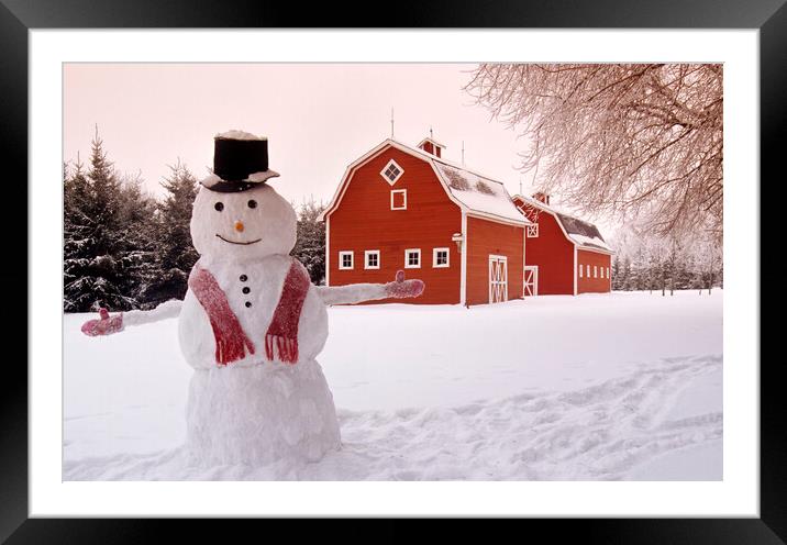 red barns with snowman Framed Mounted Print by Dave Reede