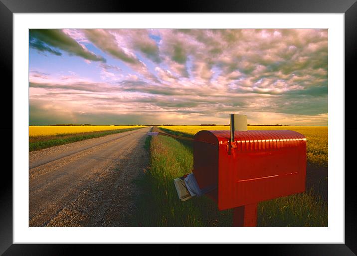 mailbox along country road Framed Mounted Print by Dave Reede