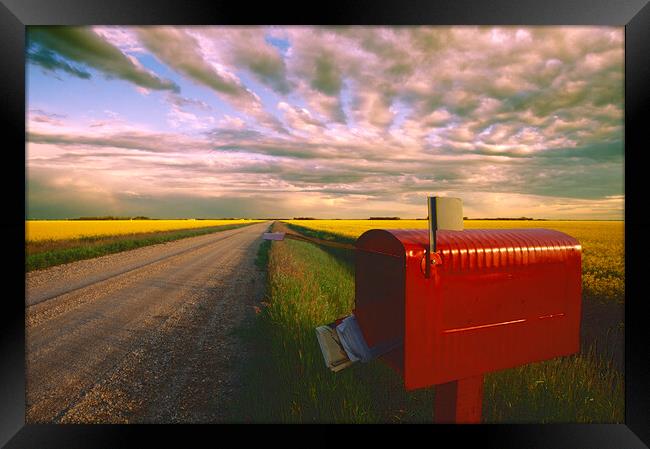 mailbox along country road Framed Print by Dave Reede
