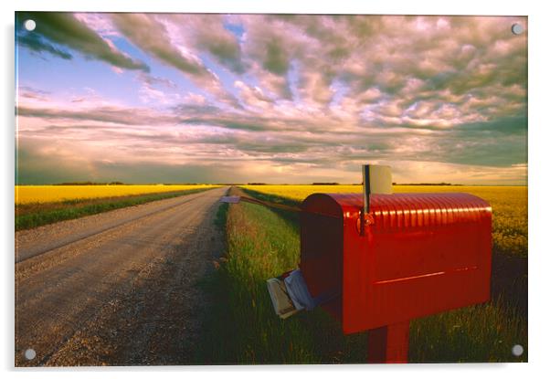 mailbox along country road Acrylic by Dave Reede