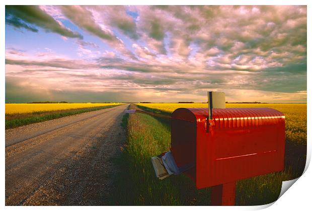 mailbox along country road Print by Dave Reede