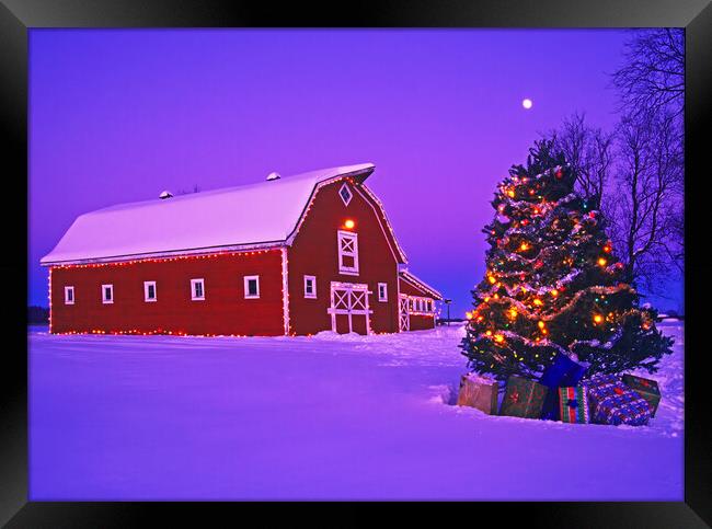 red barn with Christmas tree Framed Print by Dave Reede