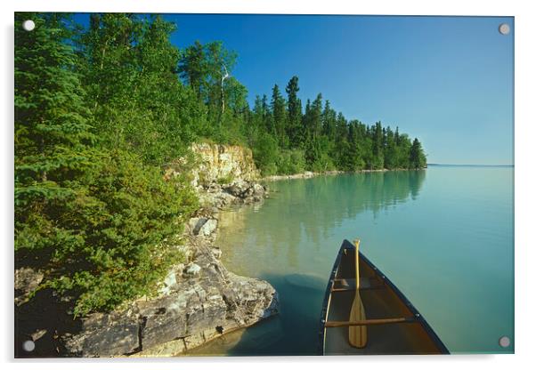 canoe along Little Limestone Lake Acrylic by Dave Reede