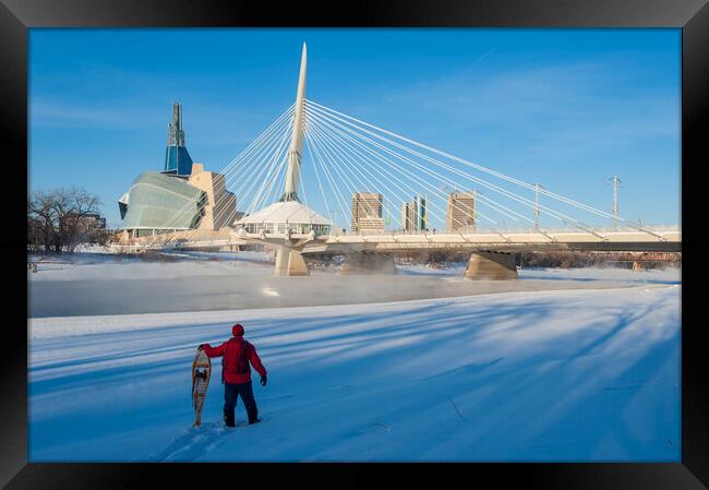 Winnipeg Skyline Framed Print by Dave Reede