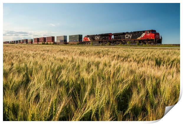 rail cars carrying containers Print by Dave Reede