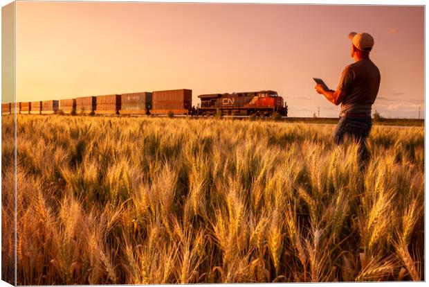 spring wheat field near a passing train   Canvas Print by Dave Reede