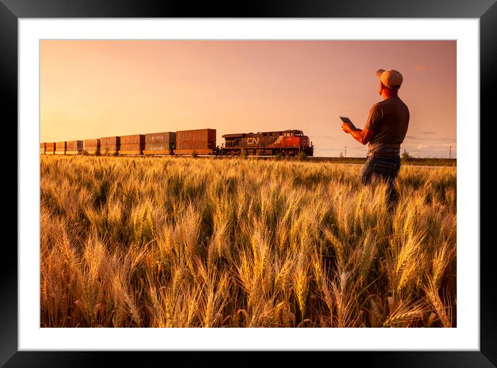 spring wheat field near a passing train   Framed Mounted Print by Dave Reede