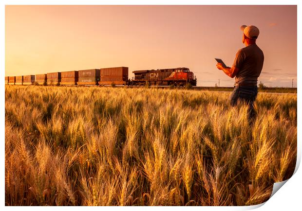 spring wheat field near a passing train   Print by Dave Reede