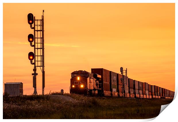 rail signal with approaching train Print by Dave Reede