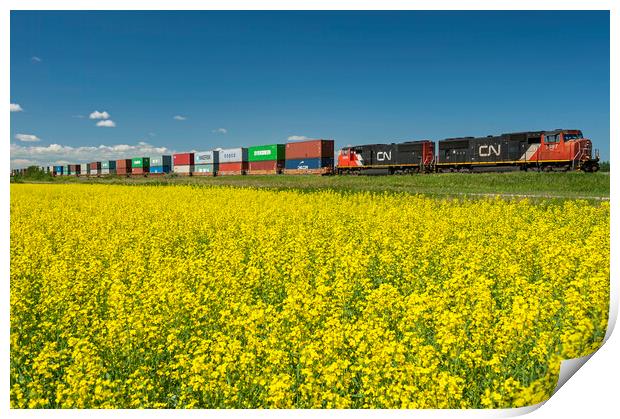 rail cars carrying containers pass a bloom stage canola field Print by Dave Reede
