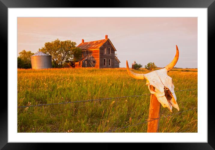 abandoned farm house Framed Mounted Print by Dave Reede