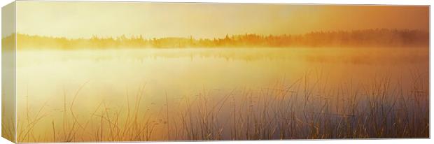 Duck Mountain Provincial Park Canvas Print by Dave Reede