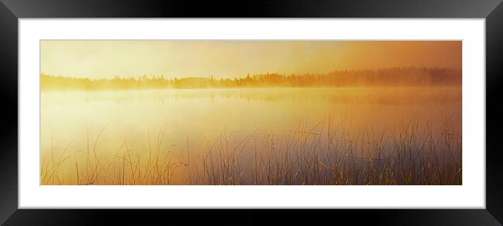 Duck Mountain Provincial Park Framed Mounted Print by Dave Reede