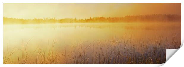 Duck Mountain Provincial Park Print by Dave Reede