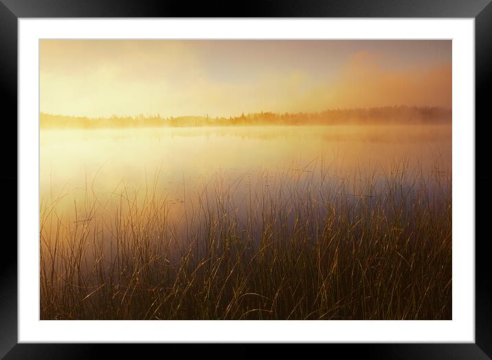 Duck Mountain Provincial Park Framed Mounted Print by Dave Reede