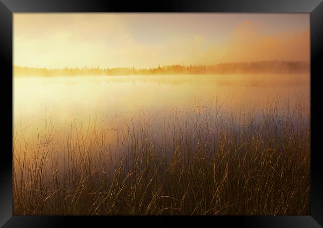 Duck Mountain Provincial Park Framed Print by Dave Reede