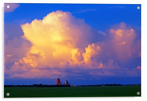 cumulonimbus cloud mass Acrylic by Dave Reede