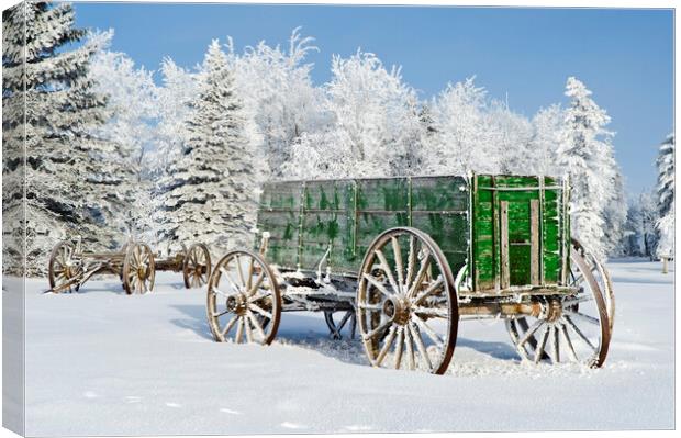 old wagon in the hoarfrost Canvas Print by Dave Reede