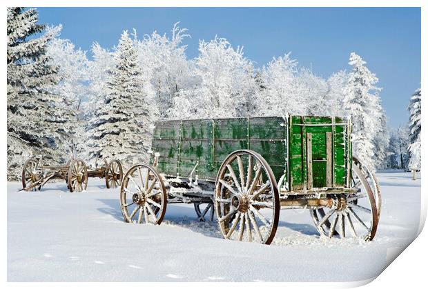 old wagon in the hoarfrost Print by Dave Reede