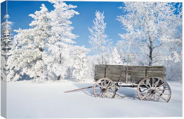 Old Wagon on a Frosty Day Canvas Print by Dave Reede