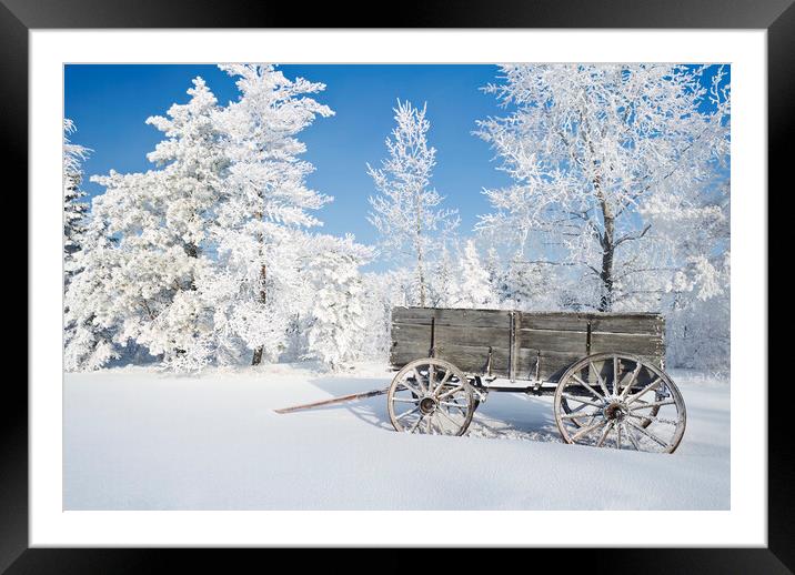 Old Wagon on a Frosty Day Framed Mounted Print by Dave Reede