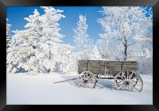 Old Wagon on a Frosty Day Framed Print by Dave Reede