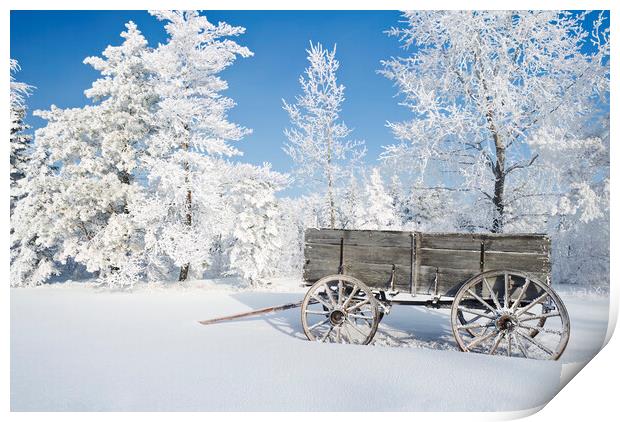 Old Wagon on a Frosty Day Print by Dave Reede