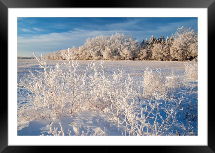 farmland with hoarfrost Framed Mounted Print by Dave Reede
