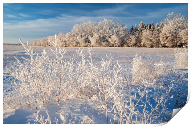 farmland with hoarfrost Print by Dave Reede