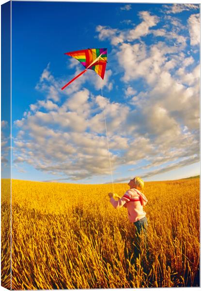 girl flying a kite in spring wheat field  Canvas Print by Dave Reede