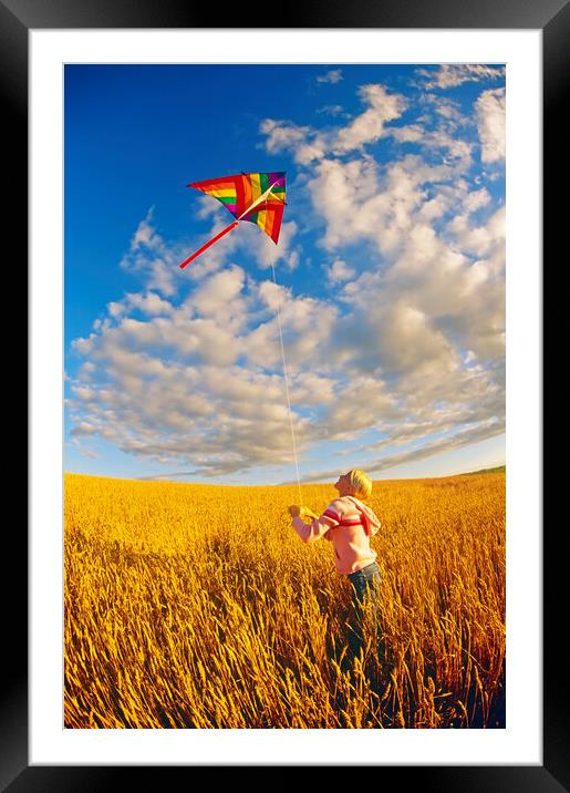 girl flying a kite in spring wheat field  Framed Mounted Print by Dave Reede