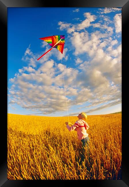 girl flying a kite in spring wheat field  Framed Print by Dave Reede