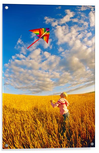 girl flying a kite in spring wheat field  Acrylic by Dave Reede