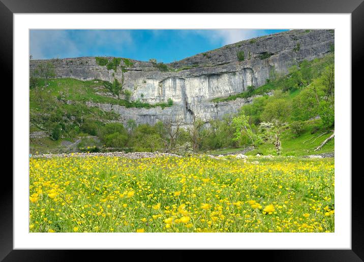 Yorkshire Dales Framed Mounted Print by Alison Chambers