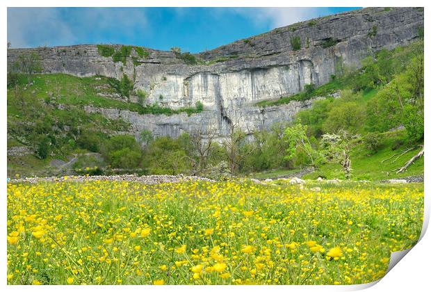 Yorkshire Dales Print by Alison Chambers