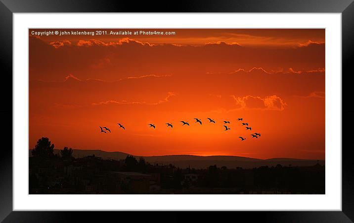 birds flying in  crimson sunset Framed Mounted Print by john kolenberg