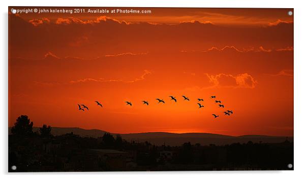 birds flying in  crimson sunset Acrylic by john kolenberg
