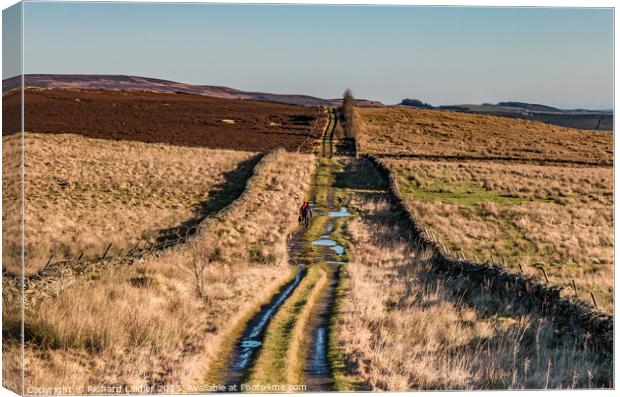 Botany Road, Mickleton, Teesdale Looking East Canvas Print by Richard Laidler