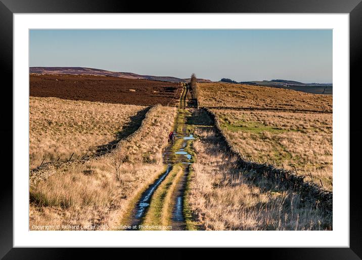 Botany Road, Mickleton, Teesdale Looking East Framed Mounted Print by Richard Laidler