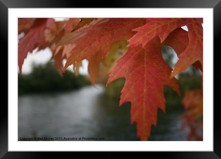 River in Autumn Framed Mounted Print by Ben Murray