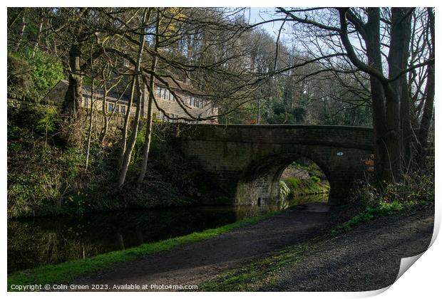 High Royd Bridge and the Rochdale Canal Print by Colin Green