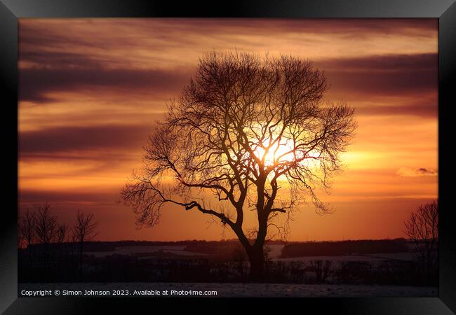 tree silhouette at sunset Framed Print by Simon Johnson