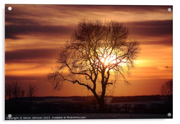 tree silhouette at sunset Acrylic by Simon Johnson