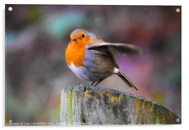 Robin about to fly!  Acrylic by Julie Tattersfield