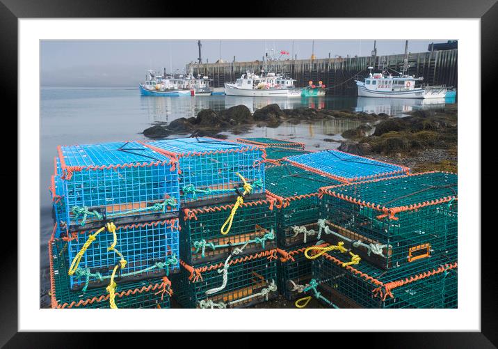 stacked lobster traps along shoreline Framed Mounted Print by Dave Reede
