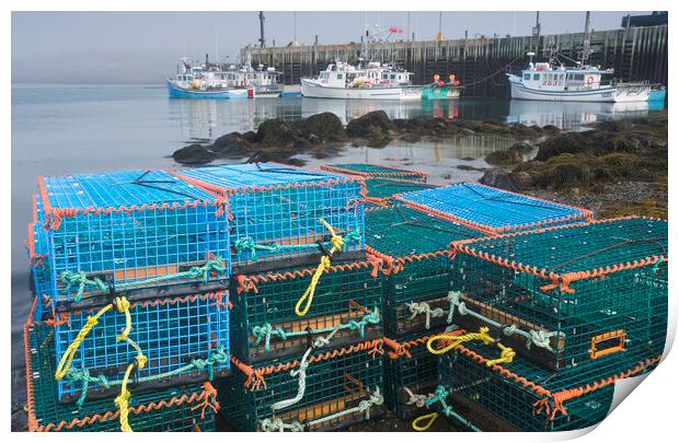 stacked lobster traps along shoreline Print by Dave Reede