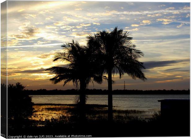 PALM TREES florida sunset   Canvas Print by dale rys (LP)