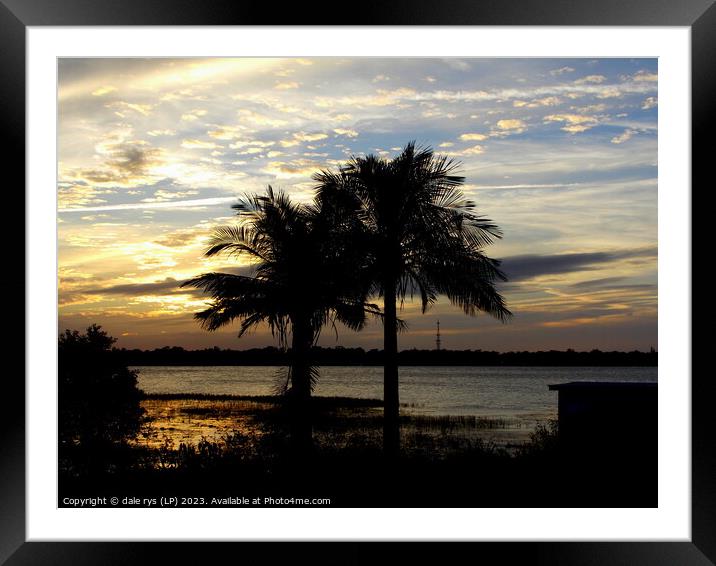 PALM TREES florida sunset   Framed Mounted Print by dale rys (LP)
